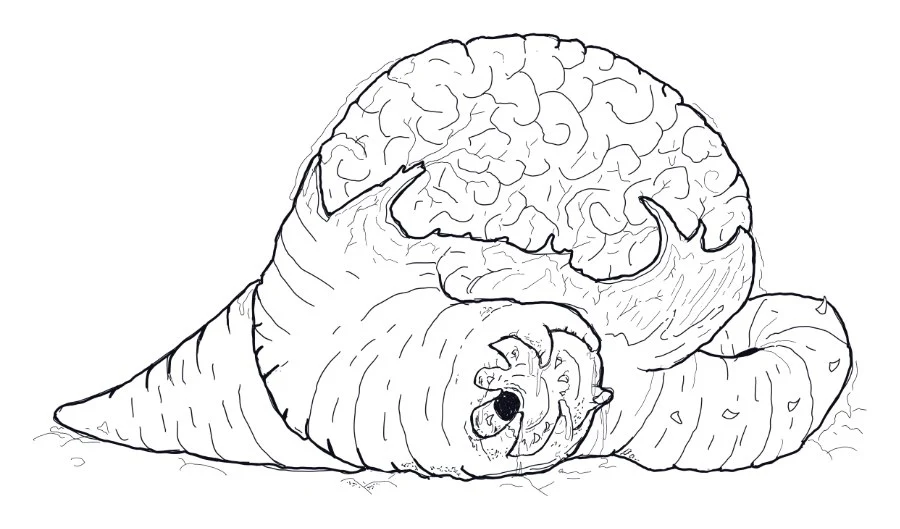 Pencil sketch of a coiled worm with a huge brain for a head